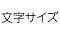 文字サイズ